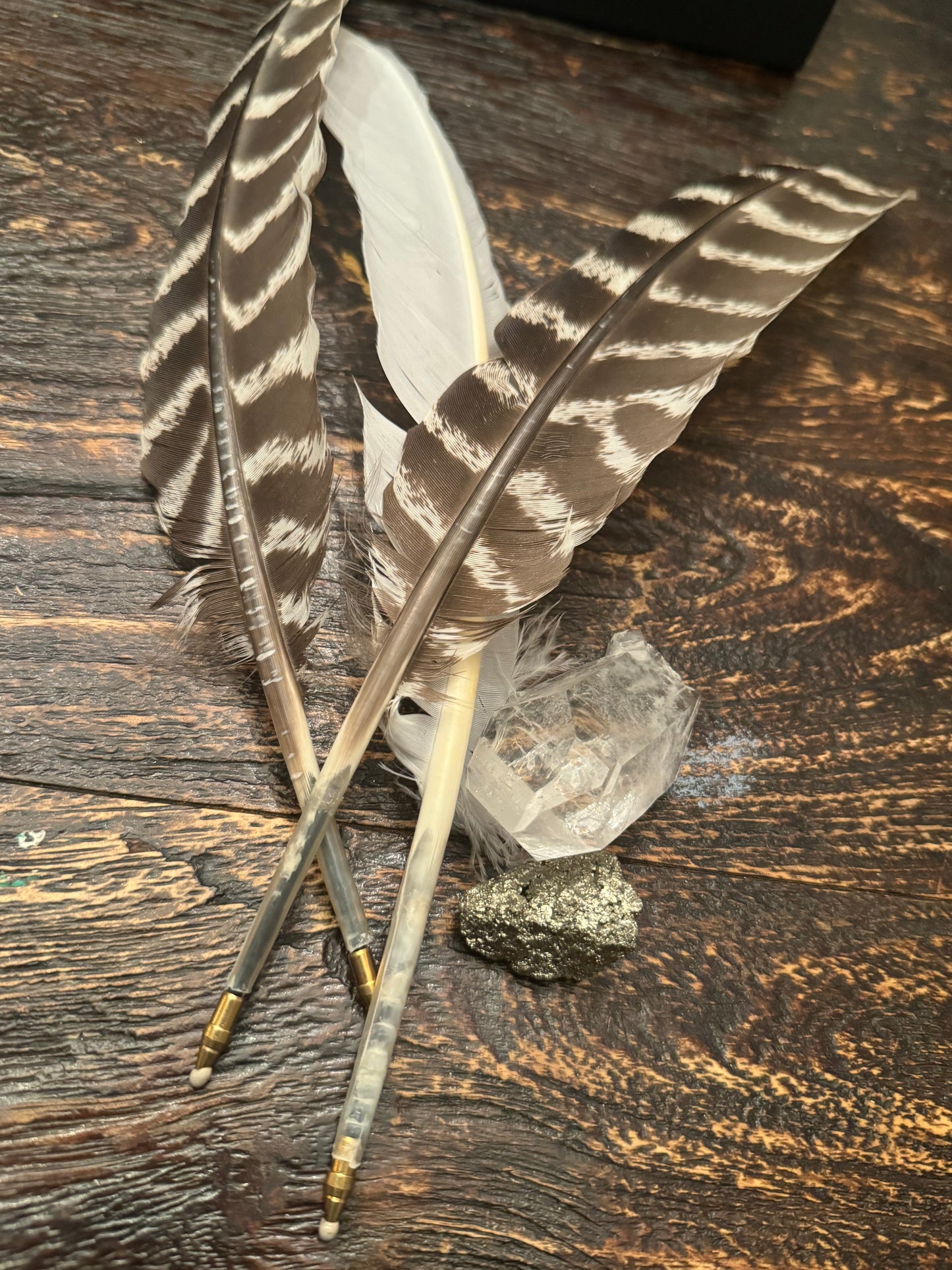 Feather Quills