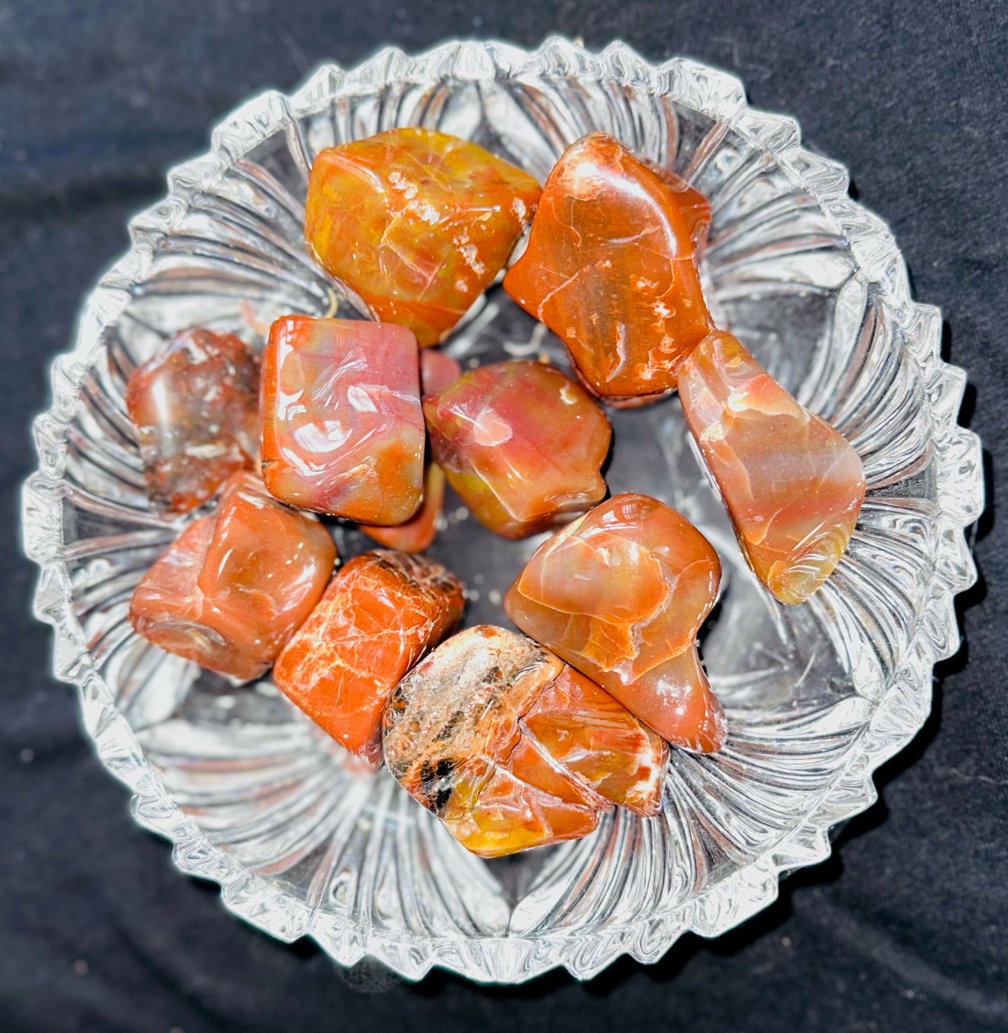 Petrified Wood