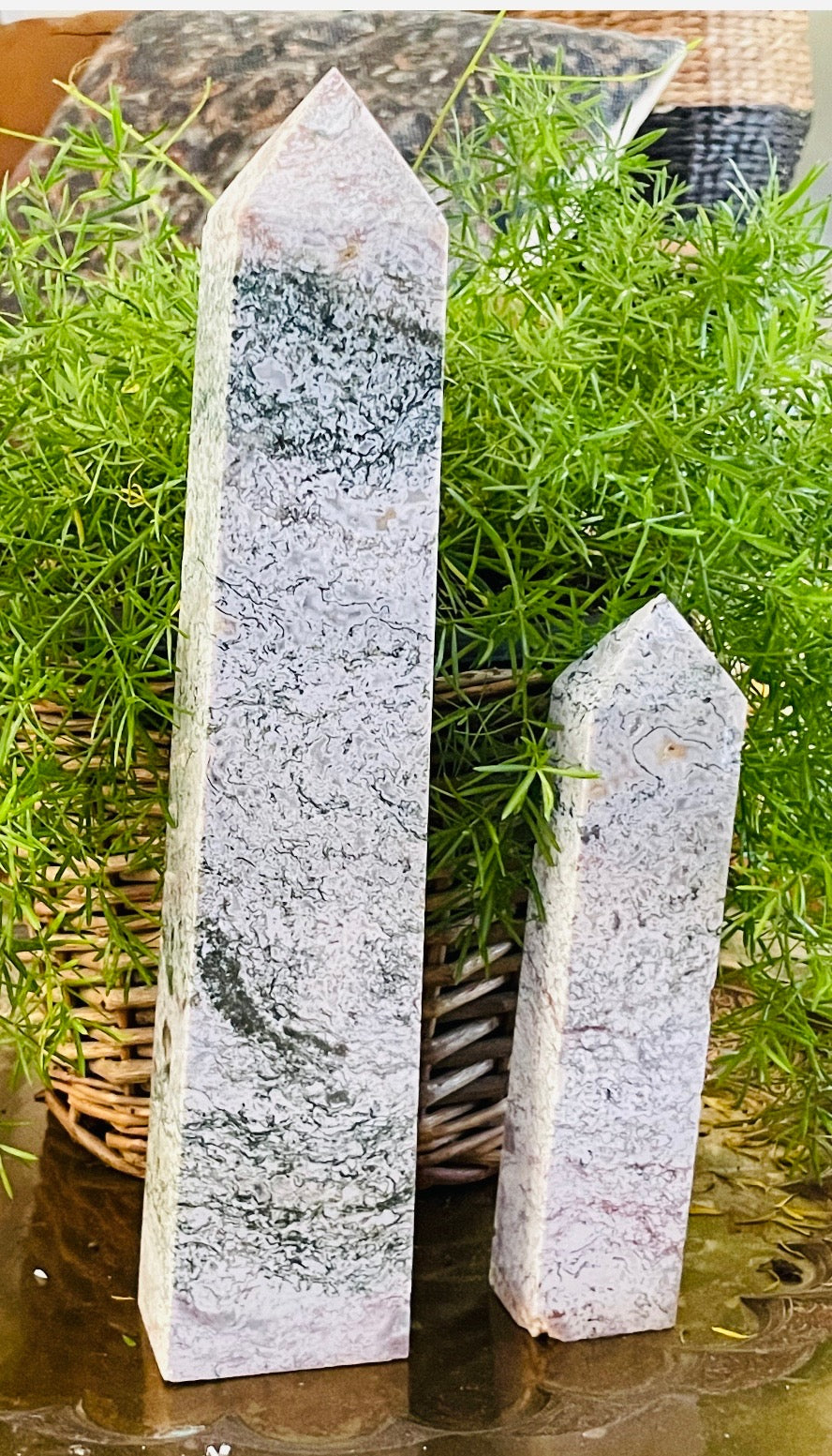 Tree Agate