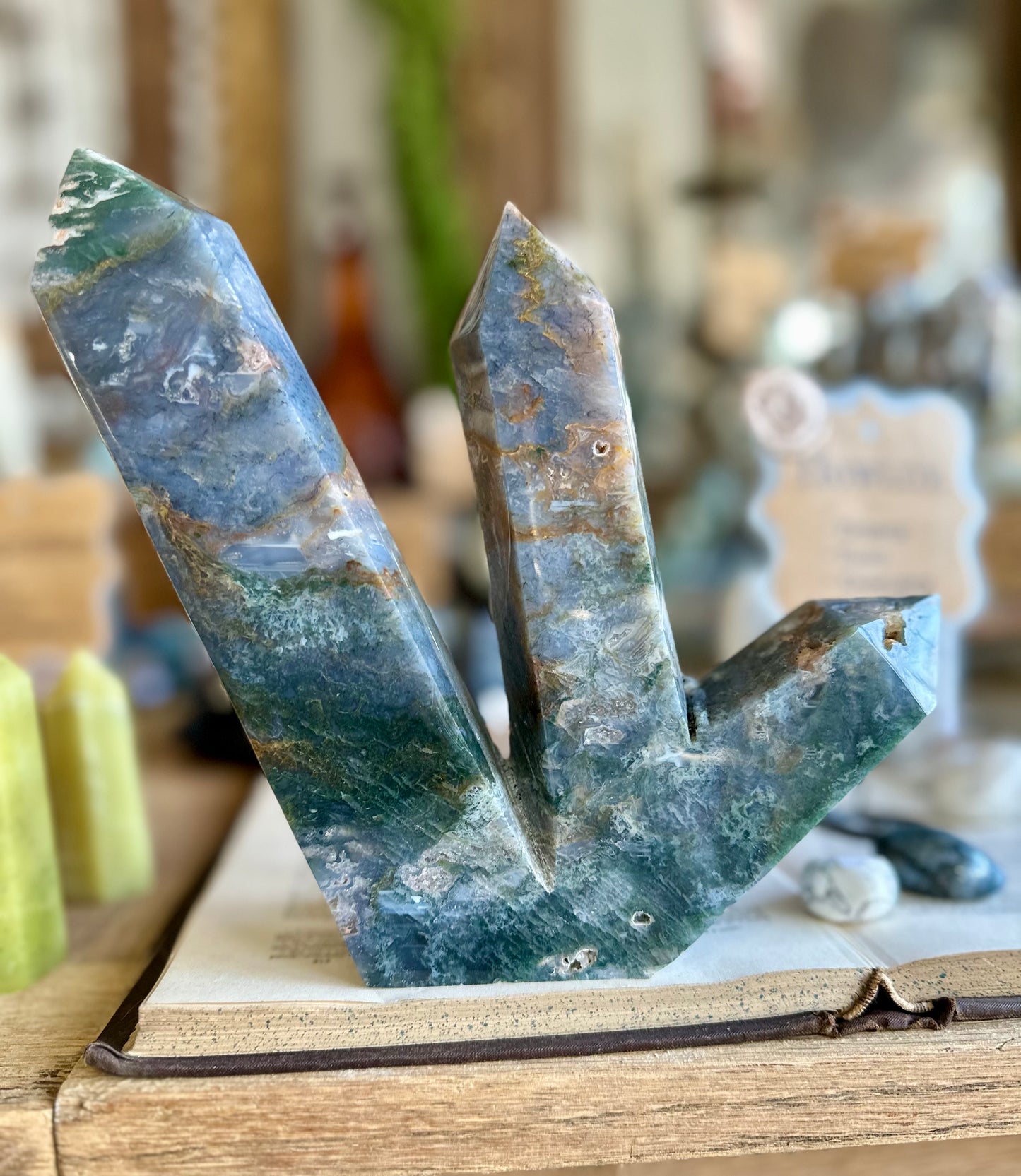 Ocean Jasper