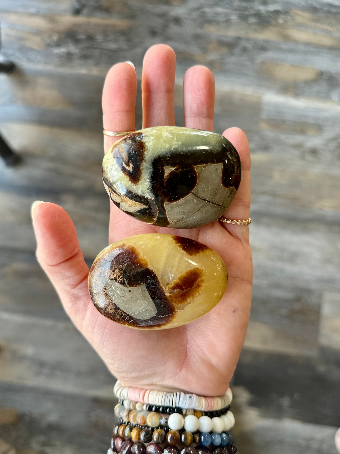 Septarian