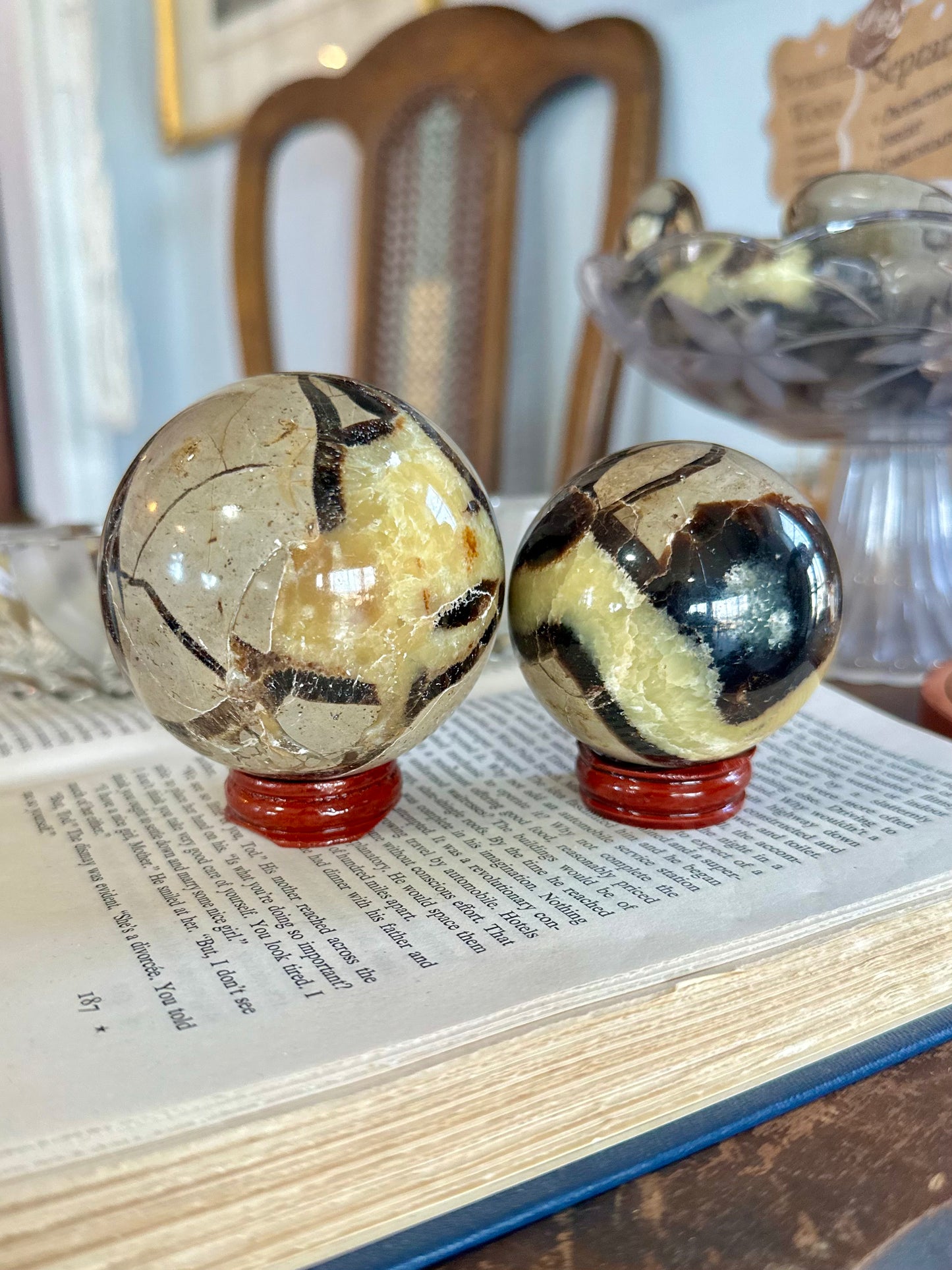 Septarian