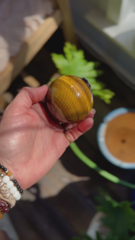 Tigers Eye